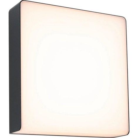 Paulmann Azalena aplique exterior antracita LED 8,5W