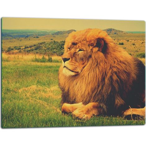 Tablero de corte de placa de vidrio 52x40 león (1/5)