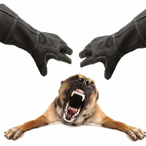 Gants de manipulation d'animaux anti-morsures Gants de jardinage anti-rayures Gants de protection pour chien chat oiseau serpent perroquet lézard 1 paire (1/5)
