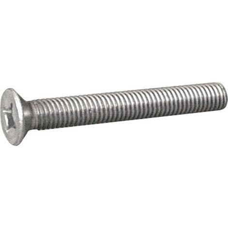 VITE IN ACCIAIO INOX TSP DIN 965 M 6x20 mm.