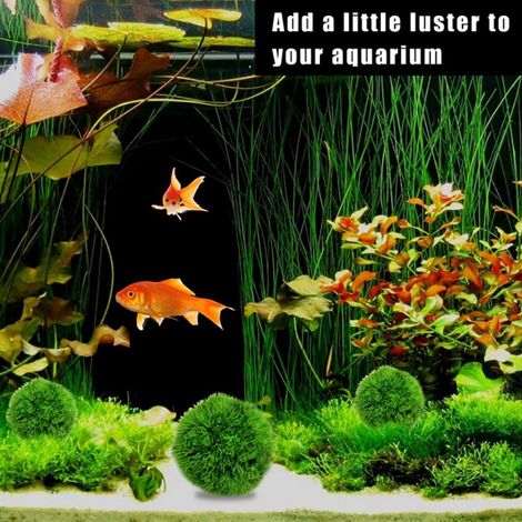 Plante Aquatique Artificielle Boule d'Algue Simulation Décor Aquarium pour Poissons Vert (1/5)