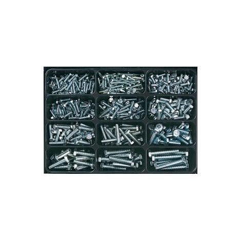 Box E-Norm 25 Din 933-8,8 Zn