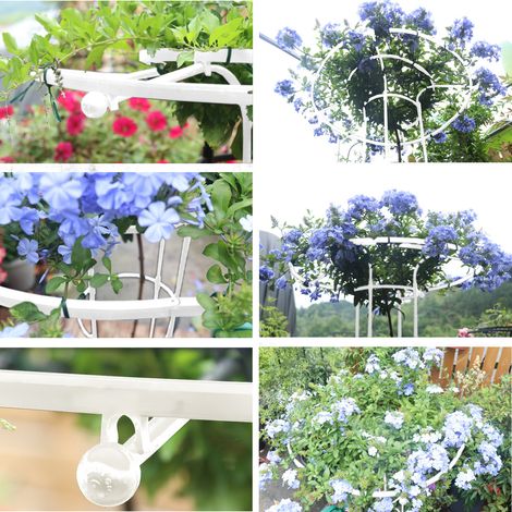 Support de Plantes pour Vignes Grimpantes, Structure de Jardin Facile à Assembler pour Rosiers et Fleurs