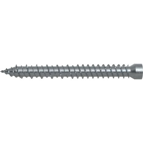 Fischer 100x vite telaio finestra FFSZ 7,5 x 62 mm T30 testa cilindrica - 532907