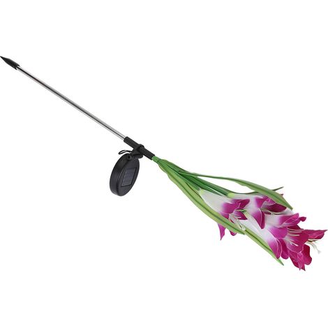 Lampes solaires en forme de fleur, étanches, à piquer pour jardin, terrasse ou cour arrière, couleur violette (1/5)