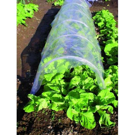Serre a Tunnel Blinky Pvc Cm 500X45H (1/2)