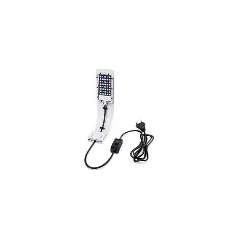 Lumière à clip pour aquarium, lampe d'aquarium ultra fine, avec lumière blanche et bleue, 40 lumières LED, 8 W, blanc [Classe énergétique F]