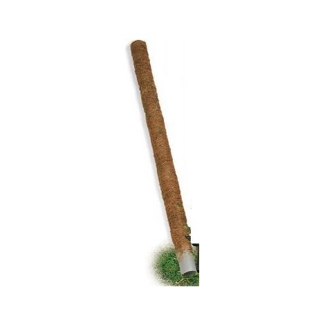 Tutore per piante rampicanti da interno bastone muschiato Ø 5 cm -80 cm (1/3)