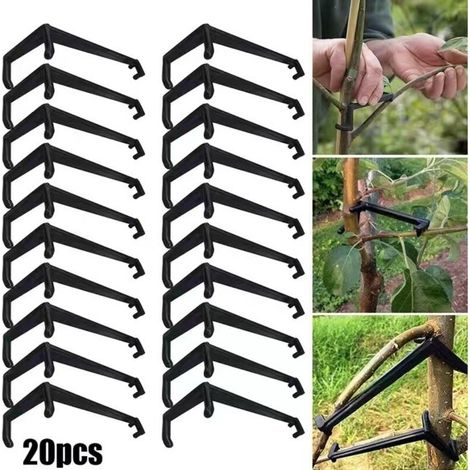 20 pièces pour arbres fruitiers : supports à branches, cintreurs, écarteur pour pommier/cerisier (1/4)