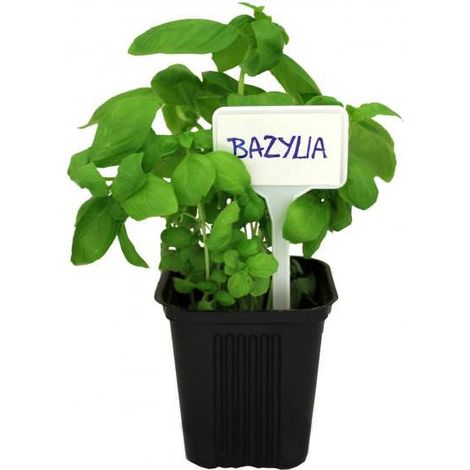 Pflanzenetiketten, 30 Stück, GardenLine