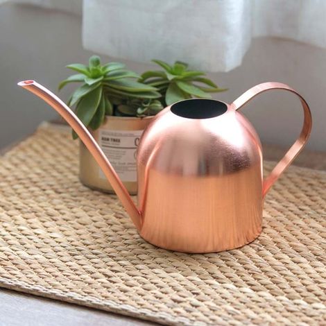 Arrosoir Plante en Acier Inoxydable Arrosoir Jardin IntéRieur Métal Arrosoir à Longue Bouche Pot D'Arrosage Plein Air avec Bec pour Maison Plantes Bouilloire Jardinage Darrosage Petit 500 ML (1/4)