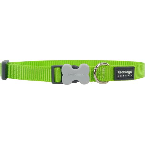 Collier chien réglable Red Dingo Basic Vert Taille : T1
