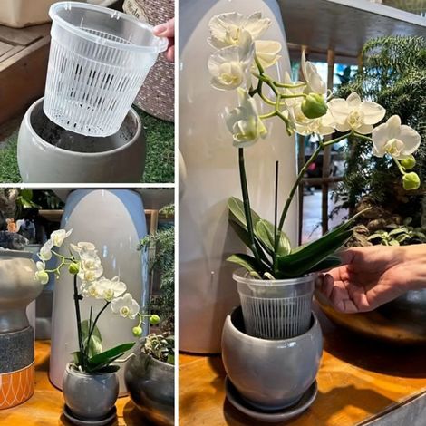 Pot de jardinage respirant en plastique transparent pour orchidées, 5 pièces, 16 cm (plateau inclus) (1/3)