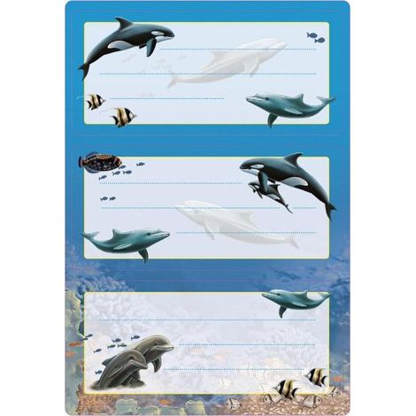 Adesivi scolastici - Delfini, 6 pezzi