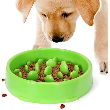 Gamelle d'alimentation Lente pour Chiens, Slow Feeding Conception Anti-dérapante Fun Interactive Nourrir Les Chats et Les Chiens pour Bol, Favorise Une Alimentation Saine (Vert)