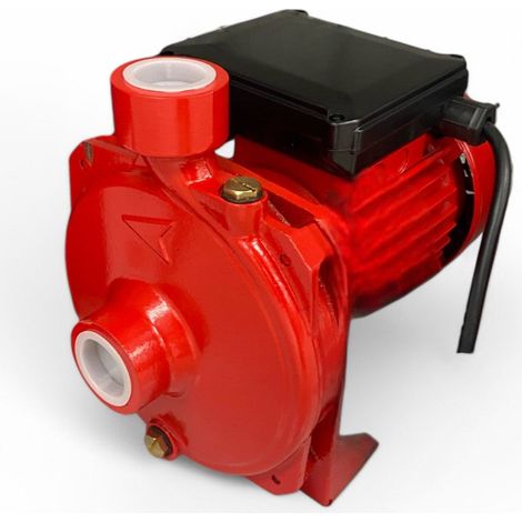 Elettropompa centrifuga alimentazione monofase 230v in ghisa 31x16.5xH23.5 cm (1/3)