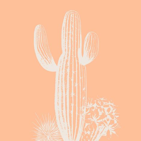 Tableau sur verre cactus sobre 30x30 cm - Impression sur Verre - Image HD  imprimée sur Verre - Tableau mural décoratif en verre - Finition Brillante - Fabriqué en France (1/5)
