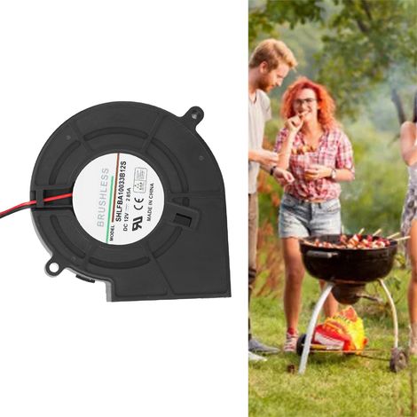 Soplador de aire para barbacoa Mano de 12 V y 2,85 A con ABS y boquilla de acero inoxidable para asar a la parrilla, acampar y hacer picnics. (1/5)