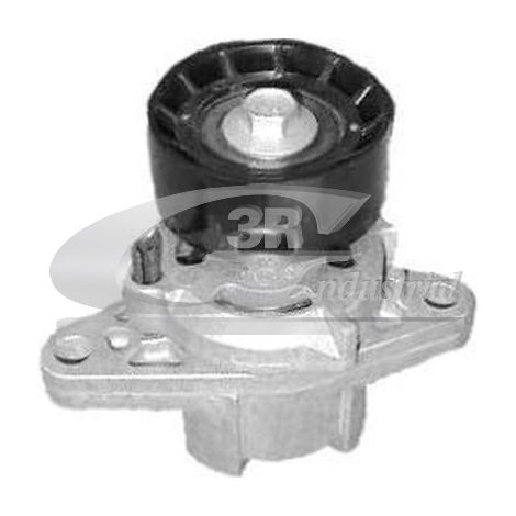 3RG 13601 RODILLO TENSOR