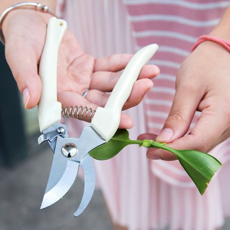 Sécateur en acier inoxydable antidérapant, outils de jardinage, sécateur, coupe-arbres, outils pour la maison (1/5)