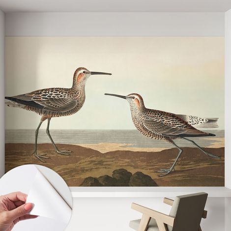 Papier peint autocollant Mural avec colle pour salon et chambre Décoration murale rapide Silhouettes d'oiseaux 152x104 cm (1/5)