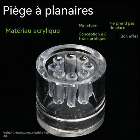 Piège à vers de terre, 8 trous, en acrylique transparent, pour la lutte contre les nuisibles aquatiques, non toxique. (1/5)