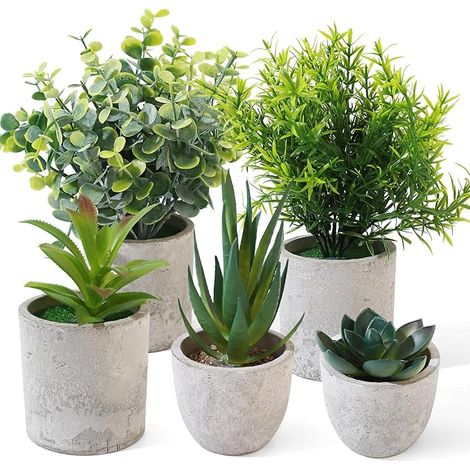 Plantes artificielles de Vraies Petites en Eucalyptus Langue de Serpent pour décoration Salon, Chambre à Coucher, Salle de Bain, Cuisine, Bureau (1/5)