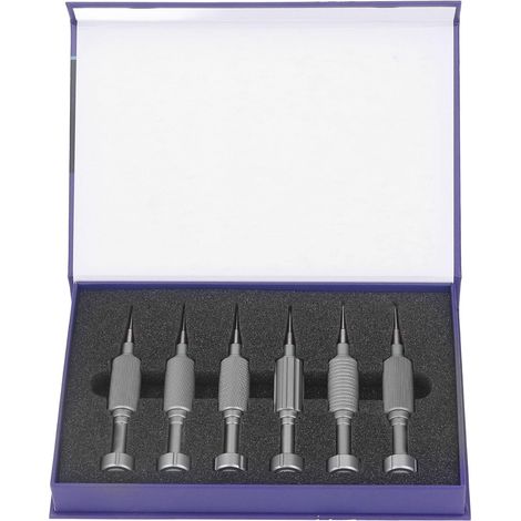 6 Pièces Jeu de Tournevis de Précision Jeu de Tournevis de Téléphone Kit de Tournevis Magnétique pour Réparer la Montre de Téléphone de Lunettes (1/5)