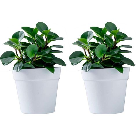 Lot de 2 pots de fleurs muraux en plastique à suspendre pour l'intérieur, l'extérieur, le jardin, le balcon, gris