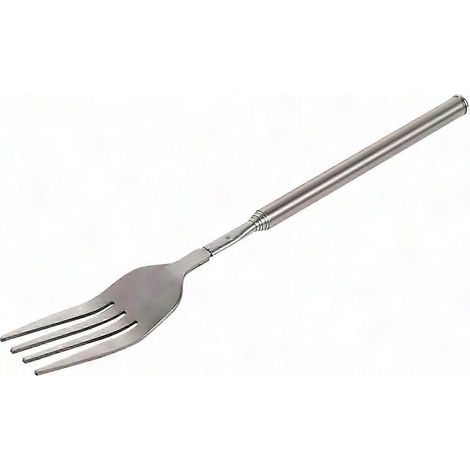 Fourchette de barbecue inox extensible, manche long pour grillades, fruits et desserts (1/5)