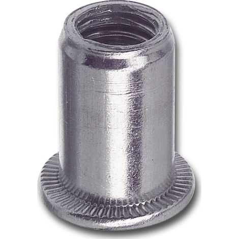 FAR Blindnietmutter M10x1x21, Nietmutter Gewindemutter Einziehmuttern, drehsicher Stahl verzinkt-blau Flachrundkopf 1mm Steigung 21mm Länge SB-20 Verpackung (1/3)