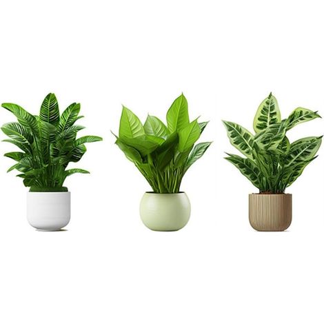 1 jeu de stickers muraux en forme de plante en pot en vinyle naturel sticker mural bonsaï plantes en pot sticker mural avec plantes vertes en peinture murale avec PVC tropicales (1/5)