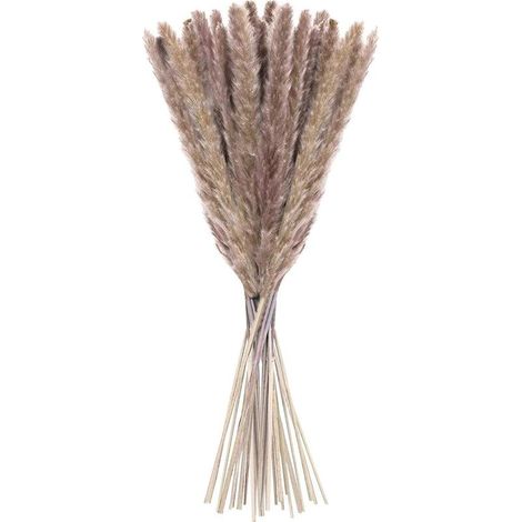 Herbe De La Pampa - 20 Pièces - 60 Cm - Fleurs Séchées Naturelles Pour Décoration Intérieure Boho - Vase Salon Chambre Mariage Photographie (1/5)