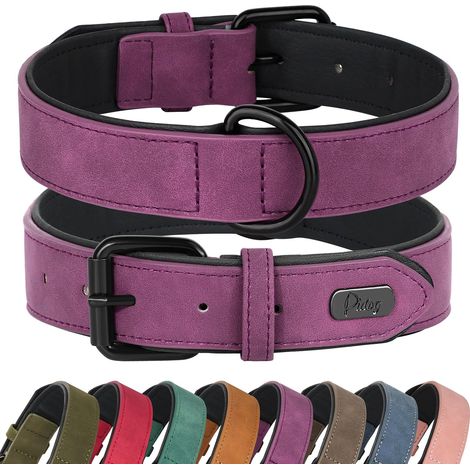 Collier pour Chien en Cuir Rembourré Doux, Collier pour Chien en Cuir Respirant et Robuste avec Boucle Réglable en Métal Antirouille pour Petits Moyens Grands Chiens, Violet, L (1/5)