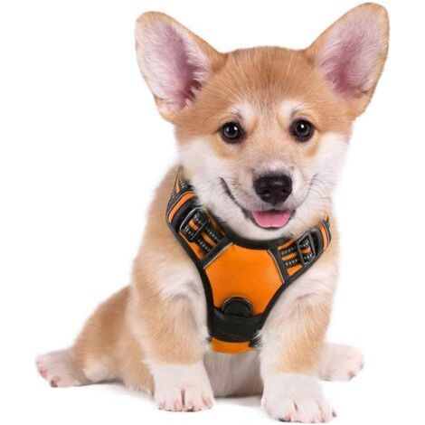 Harnais Chien S Arnais Orange Anti Traction Réfléchissant Gilet Réglable pour Chien, Attache Devant Crochet de Laisse pour Randonnée Trajet Voiture, Bouledogue Français, Berger Australien-Ens (1/5)