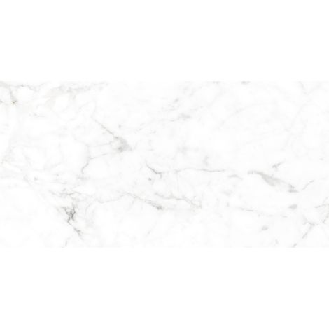 Mexen Smogy Campione grigio gres smaltato rett. G1, piastrella pavimento-parete 120 x 60 cm, lucido - TL140-01-S (1/5)