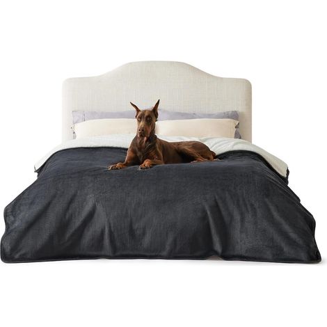 Hundedecke wasserdicht waschbar XXXXL (274x218cm) Dunkelgrau (1/5)