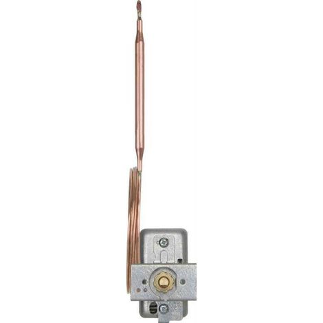 [GEBRAUCHT] Jumo Em Temperaturregler Thermostat 0 100°C Fernleitung 1000mm Temperaturwächter B-Ware
