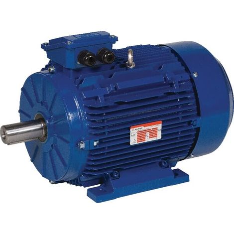 Moteur électrique 5,5 kW UNIVERSEL EM132S4B3500IE3AKR (1/5)
