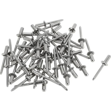 Rivets d'étanchéité à tête bombée, diamètre de poignée 6,4 mm, longueur de poignée 12 mm, diamètre de bride 13 mm, acier inoxydable argenté, 50 pièces (1/4)