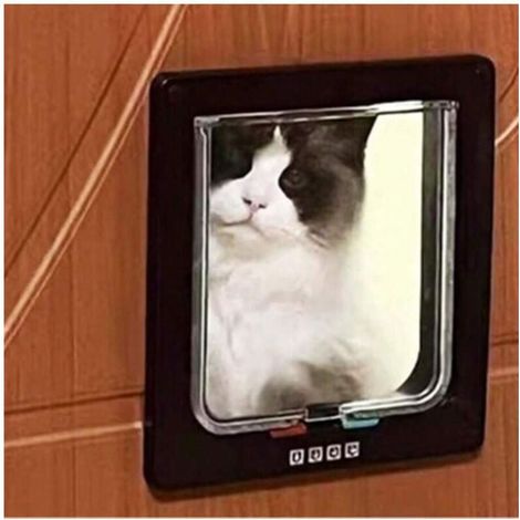 Chatière, serrure magnétique à 4 voies, porte pour animaux de compagnie, facile à installer, noir 1 pièce (1/4)