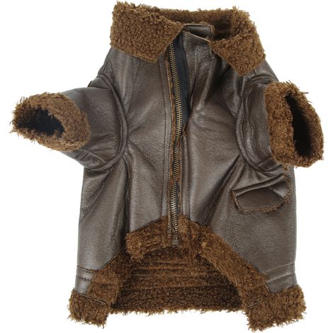 Veste d'hiver en cuir pour chiens et chats de petite, moyenne et grande taille (1/5)