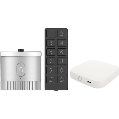 Serrure de porte intelligente Serrure de porte Bluetooth capteur de cryptage de qualité bancaire déverrouillant la commande vocale à distance de l'application intelligente Tuya ( Color : Lock Keypad H (1/5)