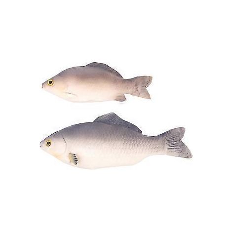 Lot de 2 poissons artificiels réalistes, modèle de jeu pour présenter des aliments ou faire plaisir aux enfants.