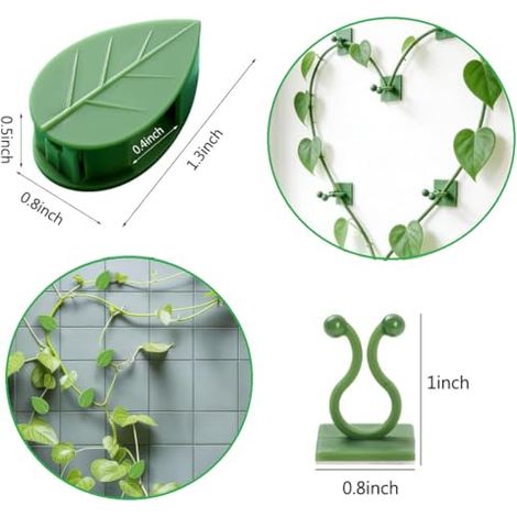 100PCS Attache Plante Grimpante,Tuteurs pour Plantes,Clips Fixation pour Plantes Grimpantes,pour Plantes d'intérieur Lierre (1/5)