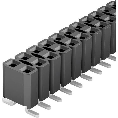 Fischer Elektronik Barrette femelle (standard) Nbr de rangées: 2 Nombre de pôles par rangée: 20 1002 (1/4)