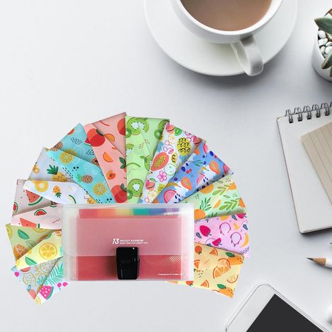 Enveloppes en plastique réutilisables pour la gestion budgétaire et l'épargne (1/5)