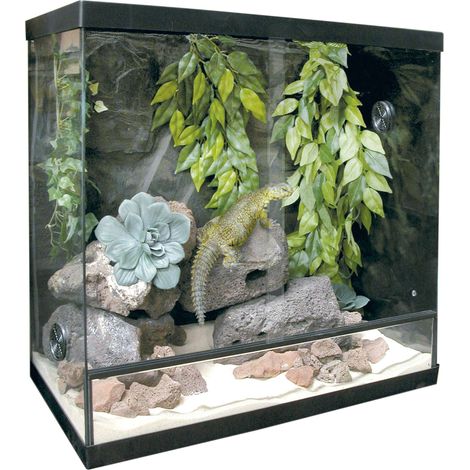 Repti-Selva KRS60 Kit per terrario vetro