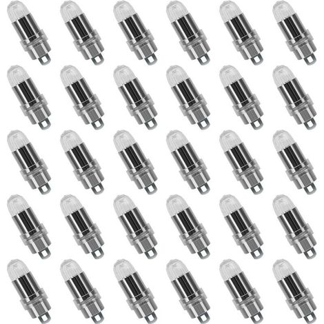 30PCS LED Ballons Lampes Lumineuses Blanc froid pour Lanterne Papier Décoration Mariage,Fête [Classe énergétique A+] (1/4)