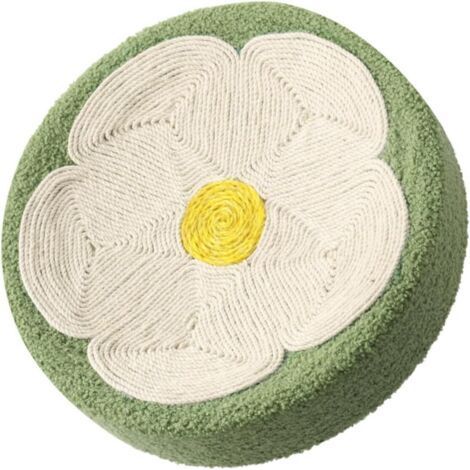 Planche à Gratter pour Chat Domestique Griffoir Résistant à Usure Tapis pour Chaton Remplaçable (1/5)